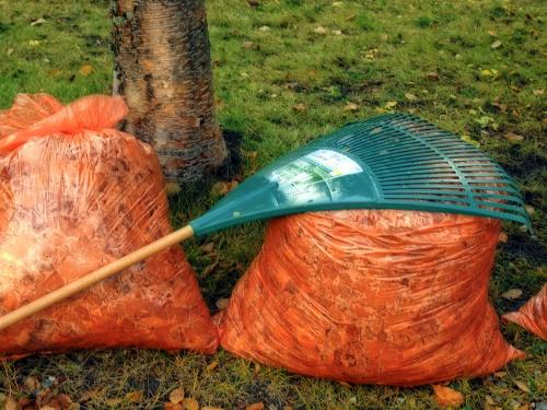 Rake on top of a bag of leaves